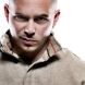  Pitbull