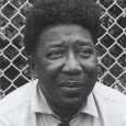  Muddy Waters