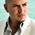  Pitbull