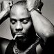  DMX