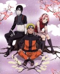 Naruto Shippuuden