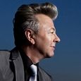  Stray Cats