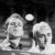 The Style Council
