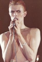David Bowie