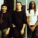  Dave Matthews Band