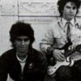  Germs