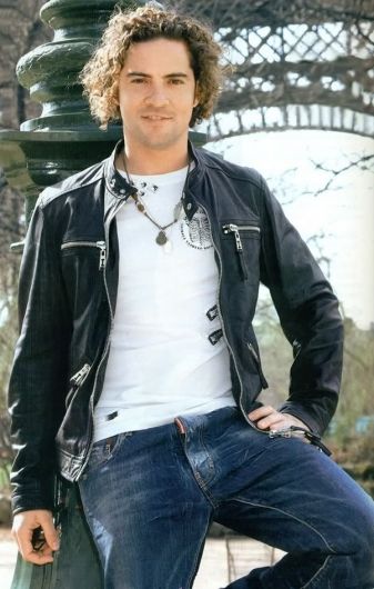 DAVID BISBAL LETRAS DE CANCIONES QUIEN david bisbal letras de canciones quien: