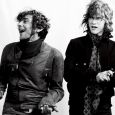  MGMT