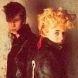  Stray Cats