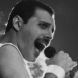  Freddie Mercury