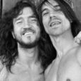  Red Hot Chili Peppers