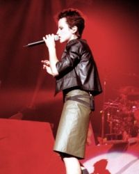 The Cranberries