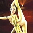  Cirque Du Soleil