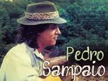 PEDRO SAMPAIO