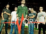 Livora