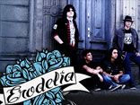 Erodelia