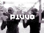 PiVVO