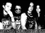 Rosa Selvagem