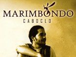 Marimbondo-caboclo