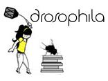 Dros&oacute;phila