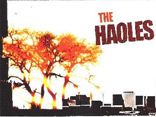 The Haoles