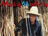 mulambêra
