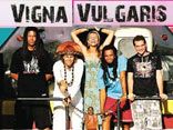 Vigna Vulgaris