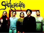 SUBTROPICAIS