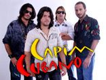 CAPIM CUBANO