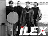 Ilex