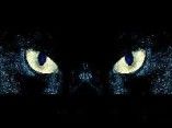 GATTO