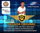 Forrozão Pegada Original