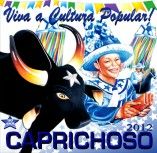 Boi Caprichoso