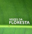 Vozes da Floresta