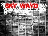 SkyWayd