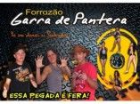 FORRÓ GARRA DE PANTERA