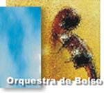 Lipe Portinho & Orquestra de Bolso