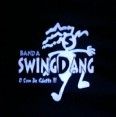 SwInG DaNg