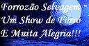 Forrozao Selvagem