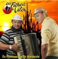 Os Filhos de vitôr (Os forrozeiros do Nordeste)