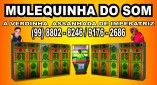 Radiola Mulequinha do Som