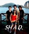 Shad