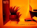 Pacto