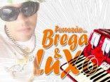 Forrozao brega e Luxo