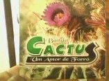 Banda Cactus