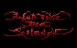 Waking The Silence