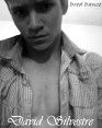 David Silvestre