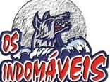 Banda Os Indomaveis