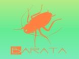 Barata Negra