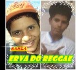 Banda Erva do Reggae